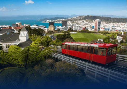 New Zealand Home Banner, Abroad Study